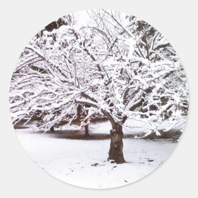 Snow Tree Classic Round Sticker (Front)
