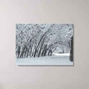Snow Trees  Landscape  Single Print
