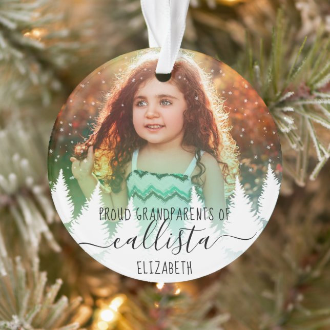 Snow Trees Proud Grandparents Photo Name Ornament (Tree)