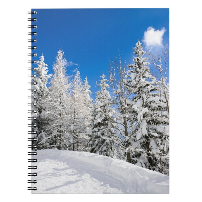 Snow trees under a clear blue sky notebook (Front)