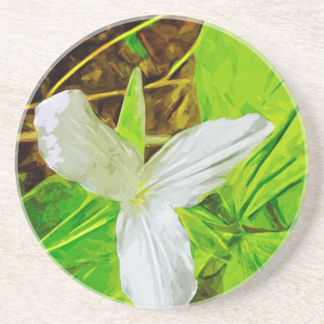 Snow Trillium a White Wildflower Abstract Coaster (Front)