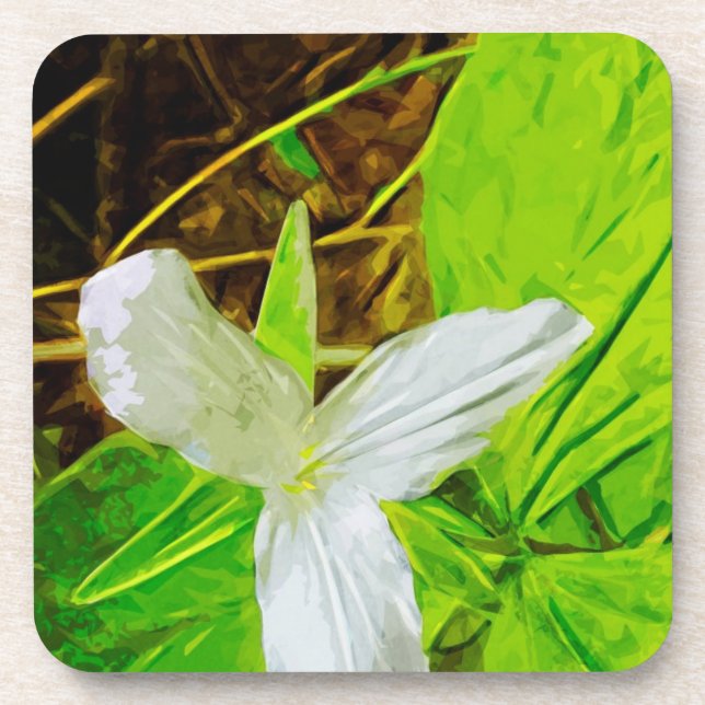 Snow Trillium a White Wildflower Abstract Coaster (Front)