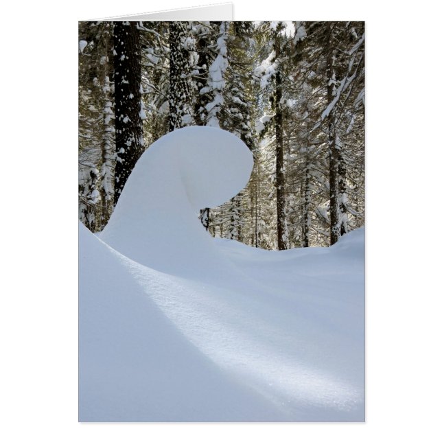 Snow Wave  2014 (Front)