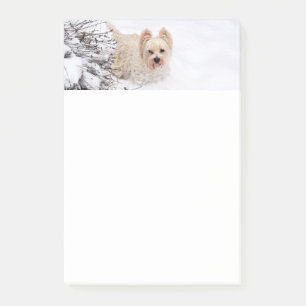 Snow Westie Dog Photo Stationery 4x6 Post-it Notes