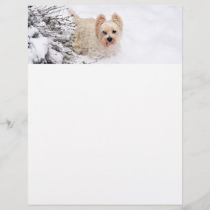 Snow Westie Dog Photo Stationery Paper Custom Letterhead