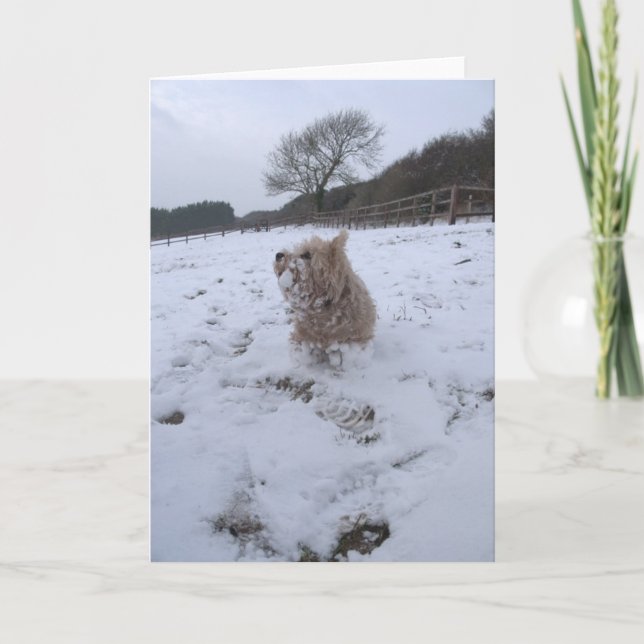 Snow Westie Holiday Card (Front)