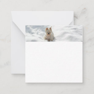 Snow White Westie Dog Photo Flat Note Card