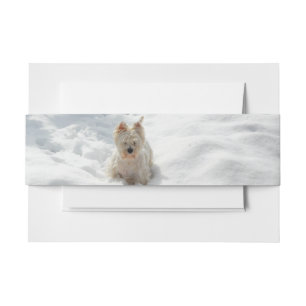 Snow White Westie Dog Photo Invitation Belly Band