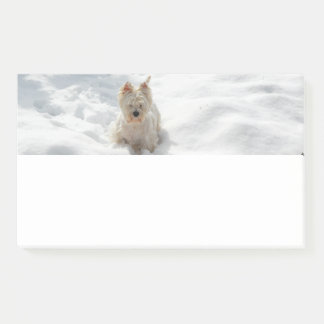 Snow White Westie Dog Photo Post-it Note Pad