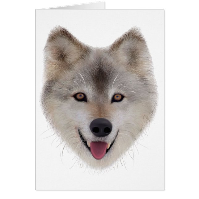 Snow Wolf Sketch (Front)