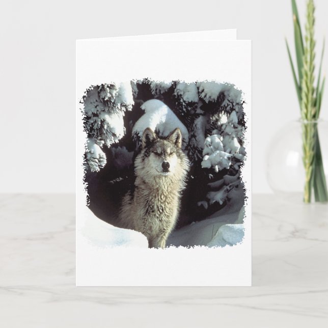 Snow Wolf  Wolves Card (Front)