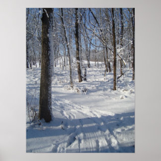 Snow Woods Poster