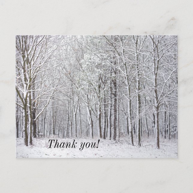Snow Woods Thank you Postcard (Front)