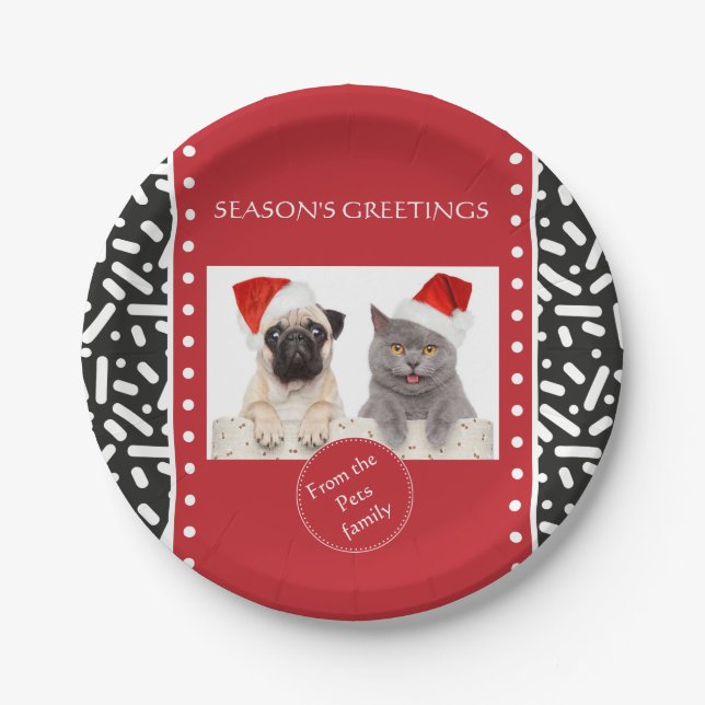 Snow Xmas Stationary and Gifts Paper Plate (Front)