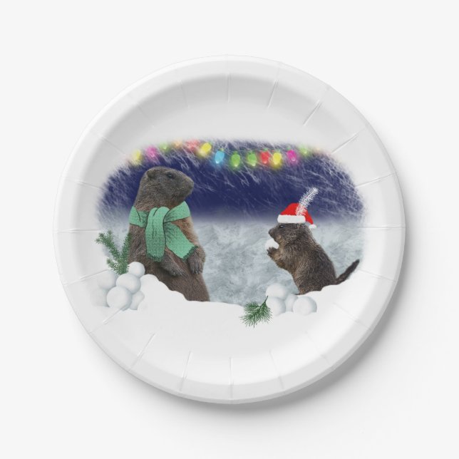 Snowball Fight Paper Plate (Front)