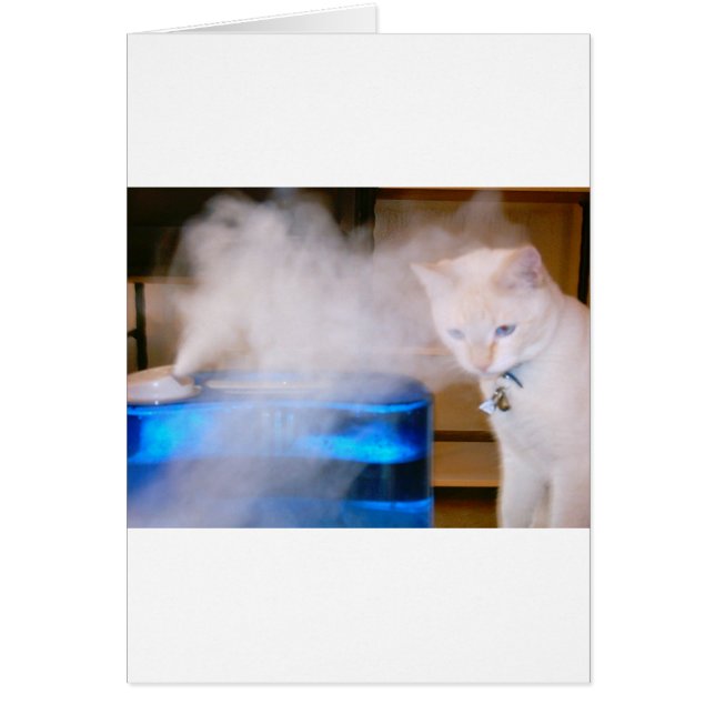 "Snowball in the Mist" (Front)