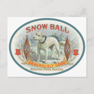 Snowball the Dog Postcard