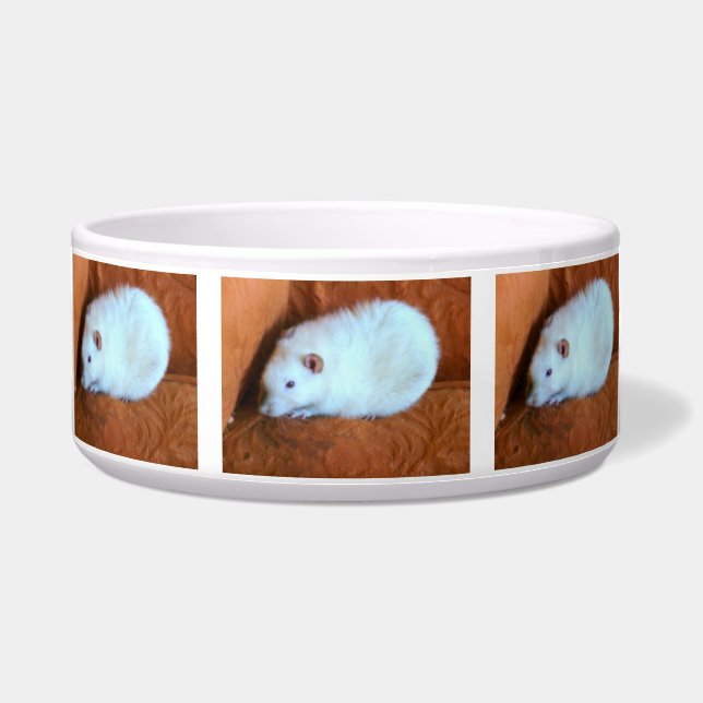 Snowball White Rat Dog Bowl (Front)