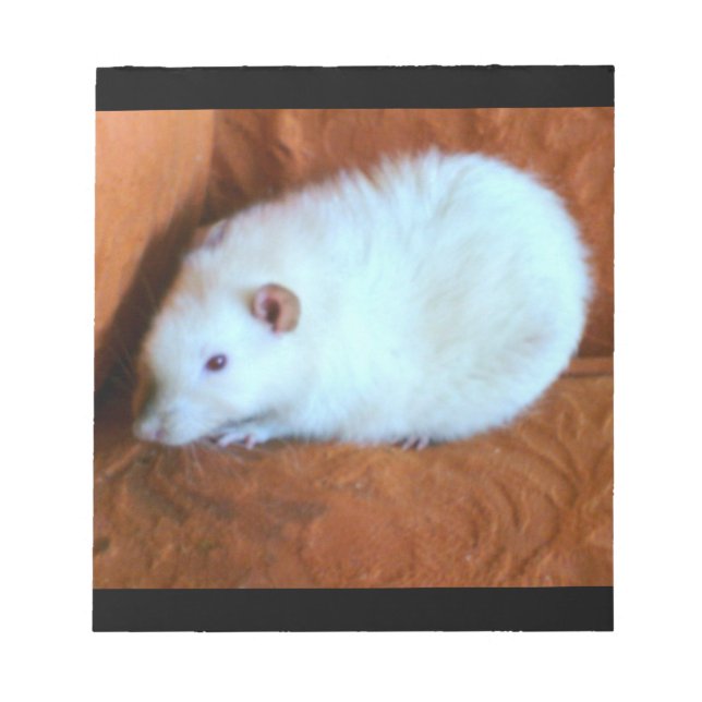 Snowball White Rat Notepad (Front)