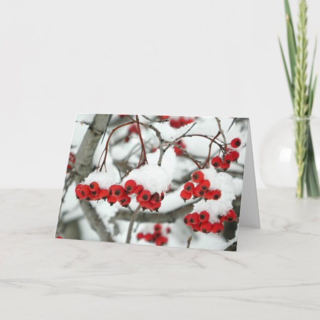 Snowberries Greeting Card (Front)
