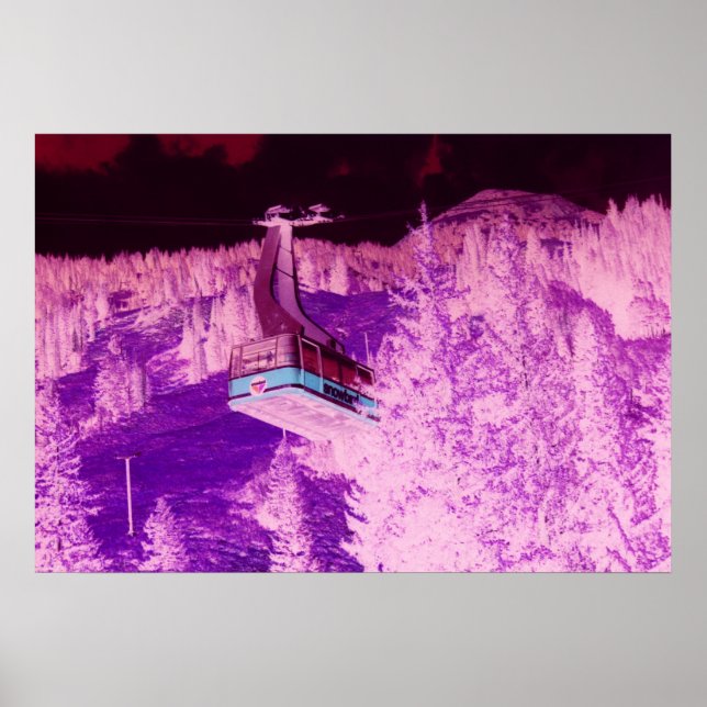 Snowbird Dream Poster (Front)