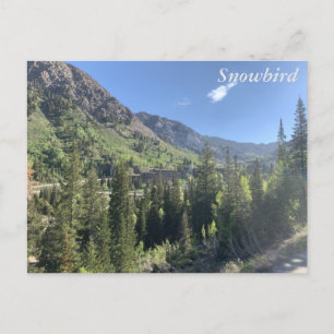 Snowbird - summer postcard