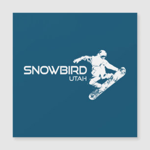 Snowbird Utah Snowboarder