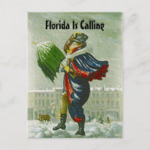 SNOWBIRD'S ANNOUNCEMENT WINTER ADDRESS POSTCARD