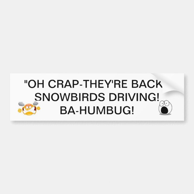 SNOWBIRDS BACK DRIVING THERE GOES THE ROADS BUMPER BUMPER STICKER (Front)