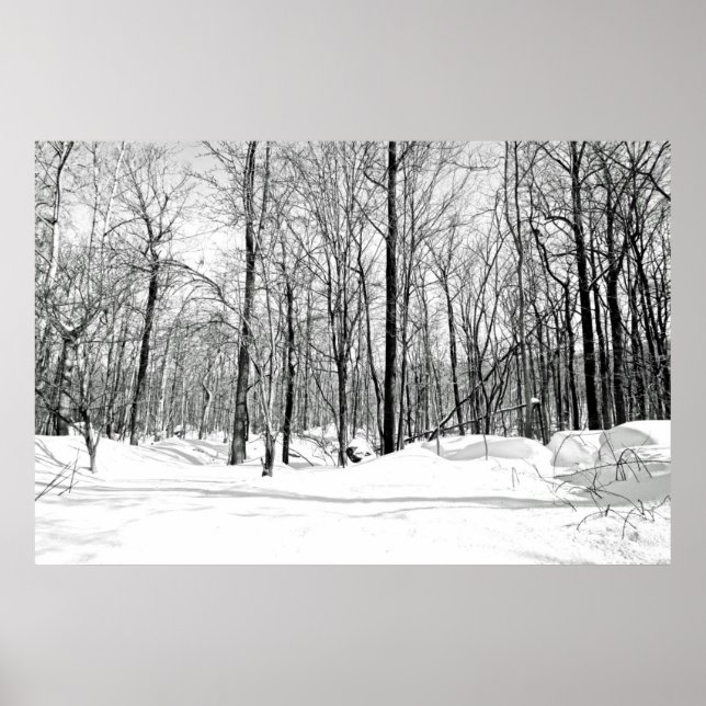 Snowblind Poster (Front)