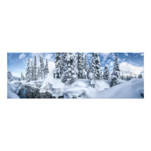 Snowbound Photo Print