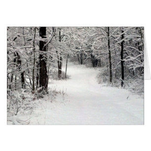 Snowcrusted field in Vermont IL