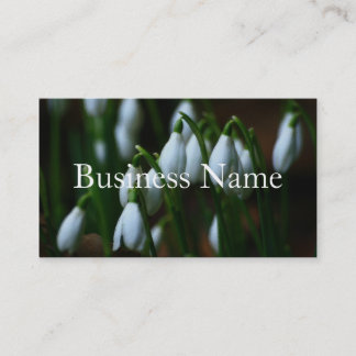 Snowdrop Business Card