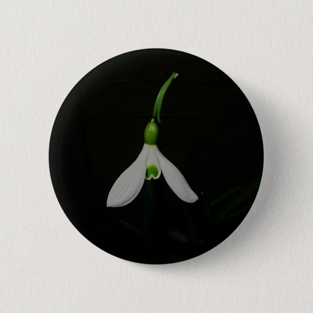 Snowdrop Button (Front)