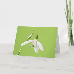 Snowdrop Card