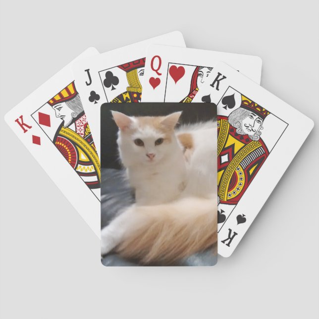 Snowdrop cards (Back)