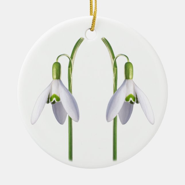Snowdrop. Ceramic Tree Decoration (Front)