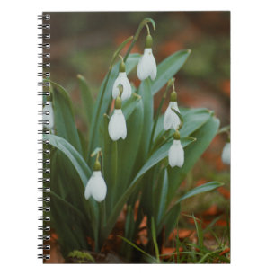 Snowdrop flowers Spiral Photo Notebook