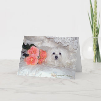 Snowdrop the Maltese Birthday Card