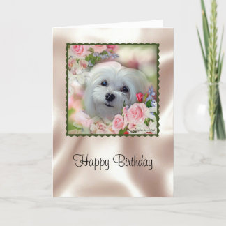Snowdrop the Maltese Birthday Card