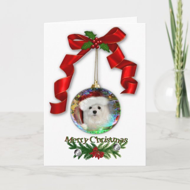 Snowdrop the Maltese Christmas Card (Front)