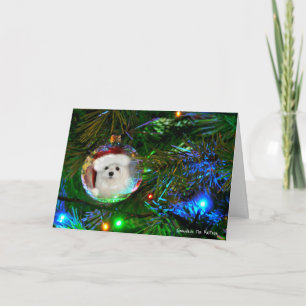 Snowdrop the Maltese Christmas Card