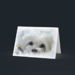 Snowdrop the Maltese Christmas Card<br><div class="desc">This Christmas Card features Snowdrop,  a sweet little Maltese peeping out from some frost and snow with a Christmas Bauble.</div>
