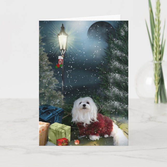 Snowdrop the Maltese Christmas Card (Front)