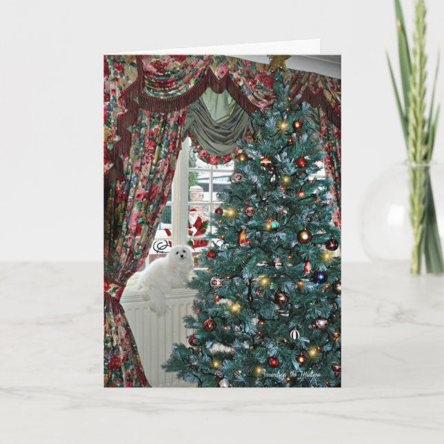 Snowdrop the Maltese Christmas Card (Front)