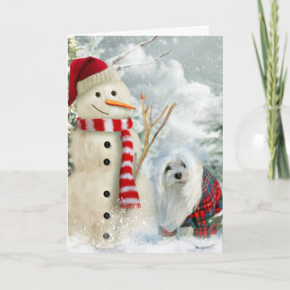 Snowdrop the Maltese Christmas Card