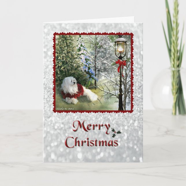 Snowdrop the Maltese Christmas Card (Front)