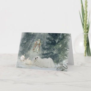 Snowdrop the Maltese Christmas Card