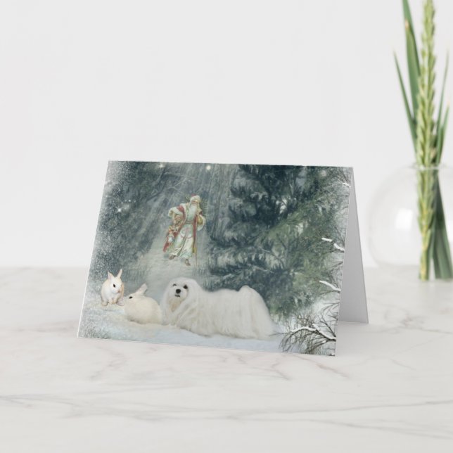 Snowdrop the Maltese Christmas Card (Front)
