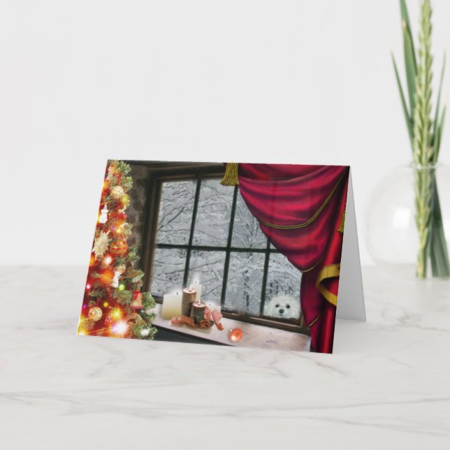 Snowdrop the Maltese Christmas Card (Front)